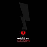 The Wildhearts Moodswings and Roundabouts (Box Set)- Spirit of